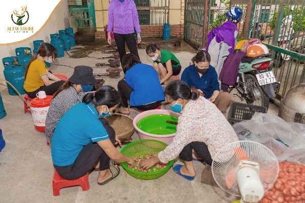 chuẩn bị nấu cháo nhung hươu