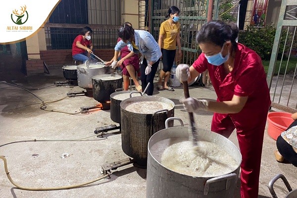 nấu cháo nhung hươu sibiri bắc giang