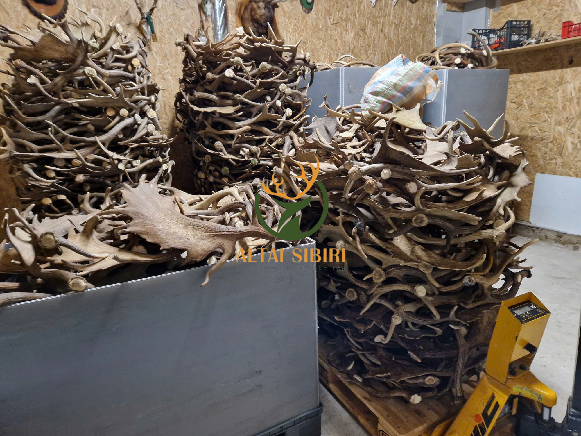 z5999897068234_184176c089944a2c3afbb0d6b8a53f7a